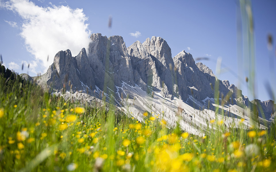 Naturpark Puez-Geisler